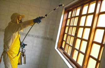 Protecta Dedetizadora - Foto 1