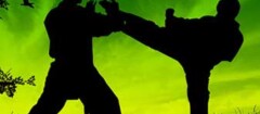 tae-kwon-do-caxias-1394847669