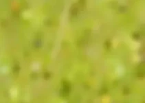 Prefeitura Municipal de Caxias