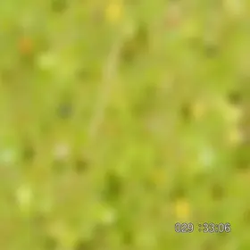 Prefeitura Municipal de Caxias