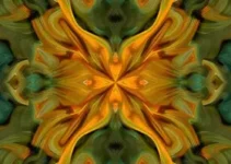 Prefeitura Municipal de Caxias