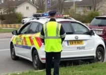 Guarda Municipal recupera veículo que havia sido roubado