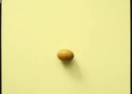 Últimas noticias de Caxias