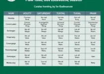 Concurso PGM Caxias MA