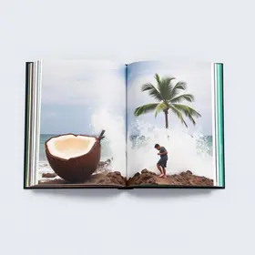 quebradeiras de coco