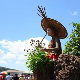 3º Festival do Babaçu