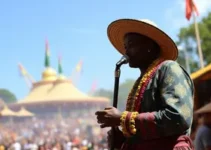 festival do babaçu